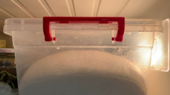  Bột có thể bảo quản trong tủ lạnh đến 14 ngày