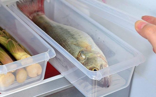Cá để tủ lạnh được bao lâu? Hướng dẫn cách bảo quản cá đúng cách 