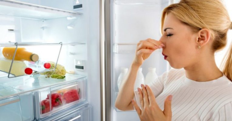Nguyên nhân do đâu khiến tủ lạnh có mùi hôi? 