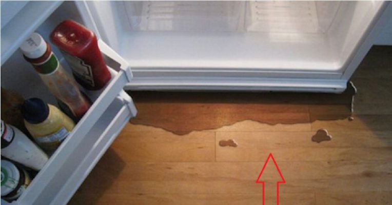 Tủ lạnh bị rò rỉ nước từ ngăn chứa rau củ